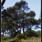 Paysage – Marseille