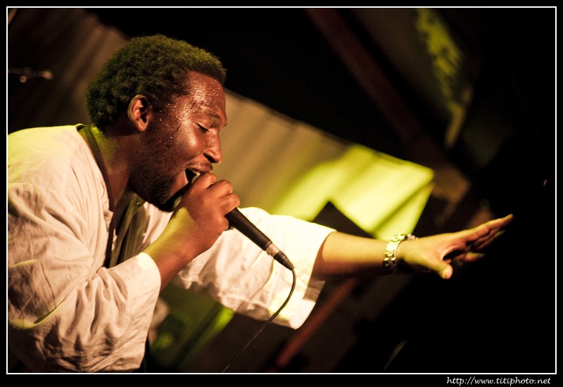 The Wounded Lions – Culles-les-Roches – 09/07/2010