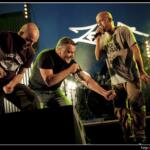 Zebda – Viviers – 17/05/2012