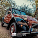 13/365 – Charleston