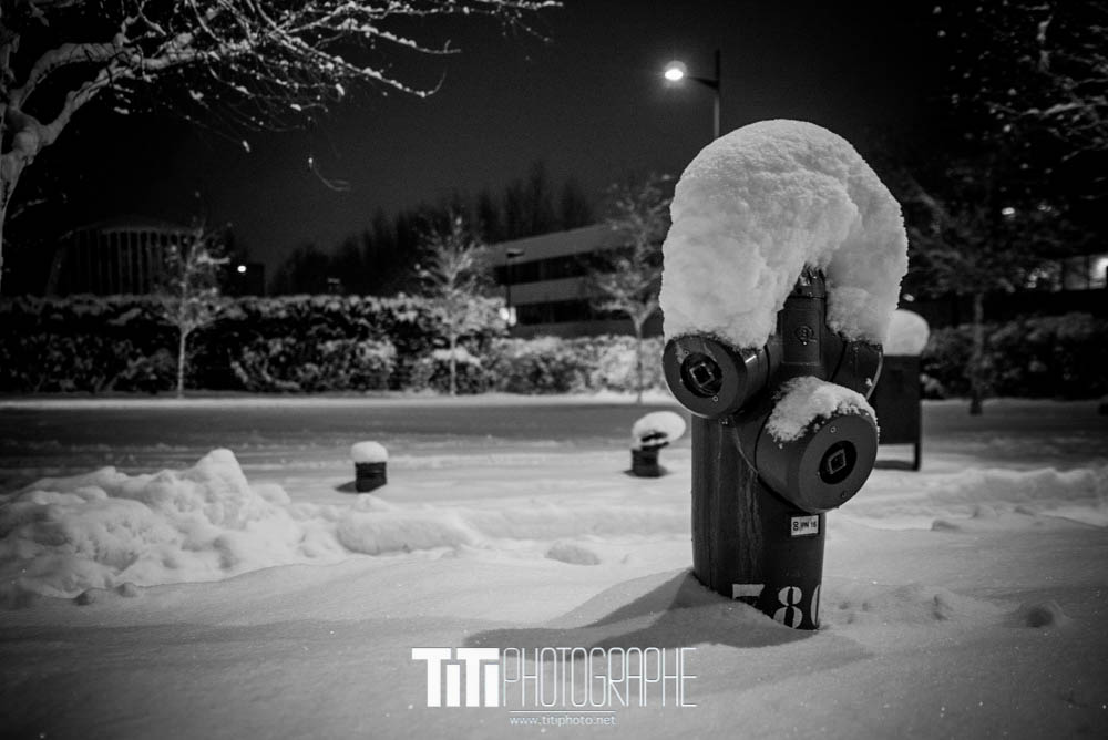 86/365 – Au feux !