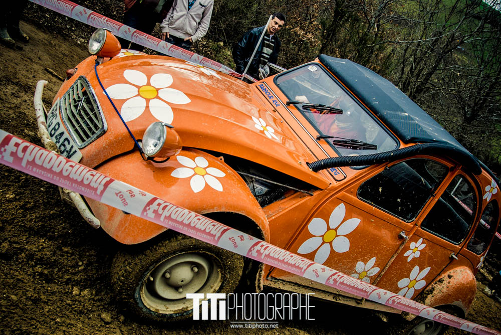 73/365 – Flower Power