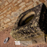 84/365 – Sans grenouille