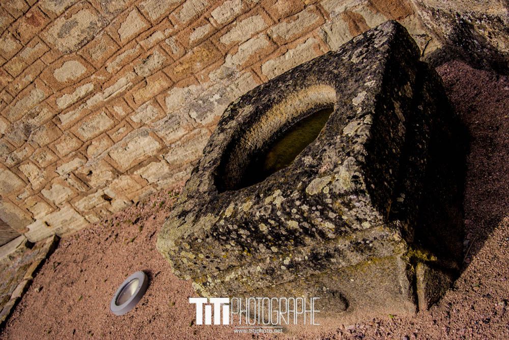 84/365 – Sans grenouille