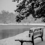 101/365 – Sur le banc