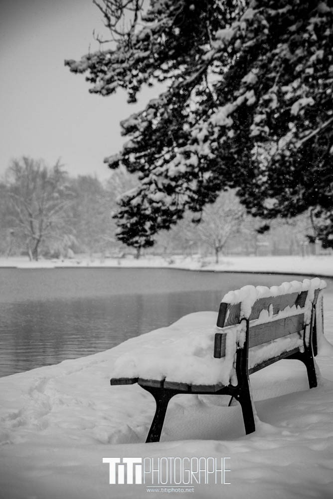 101/365 – Sur le banc