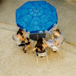 100/365 – Sous le parasol