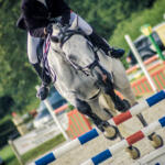 119/365 – Saut