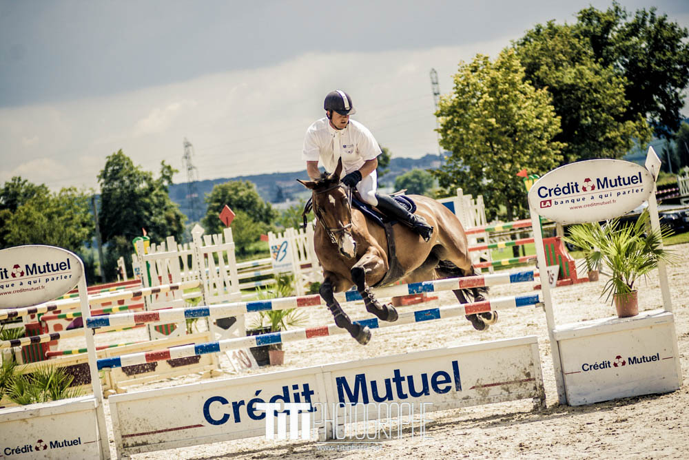 115/365 – De travers