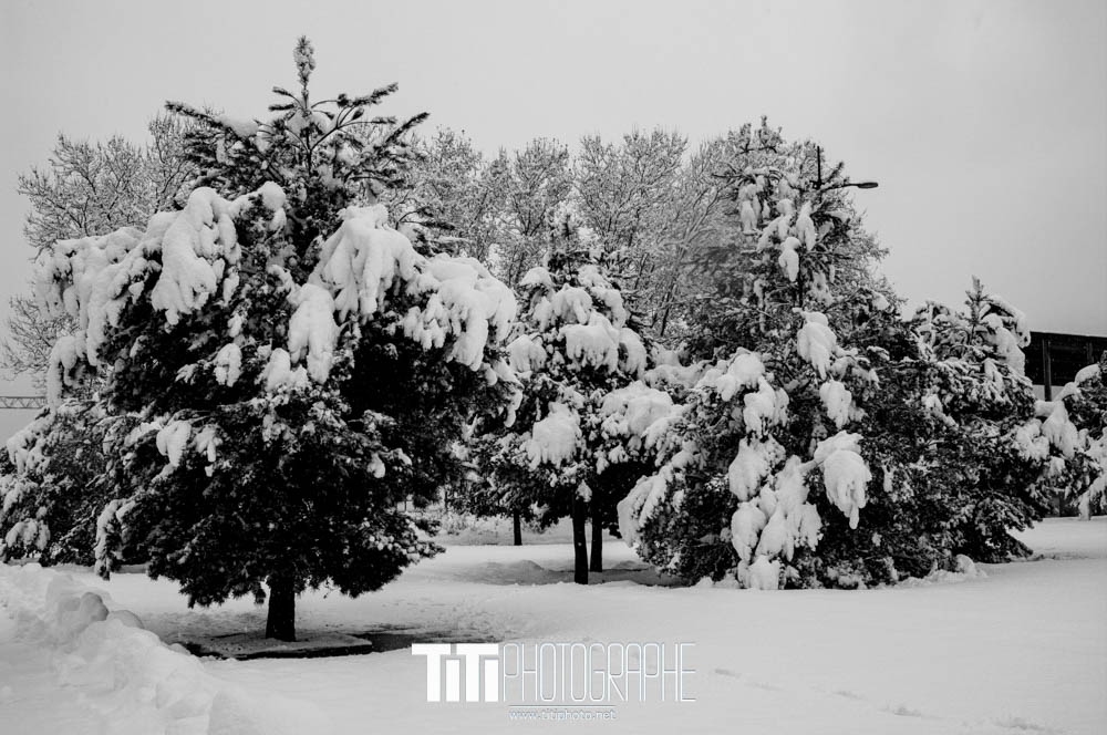 137/365 – Le retour de la canicule