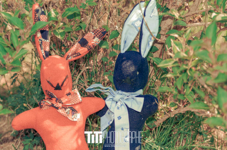 149/365 – Lapins