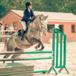 147/365 – Jusqu’ici, tout va bien !