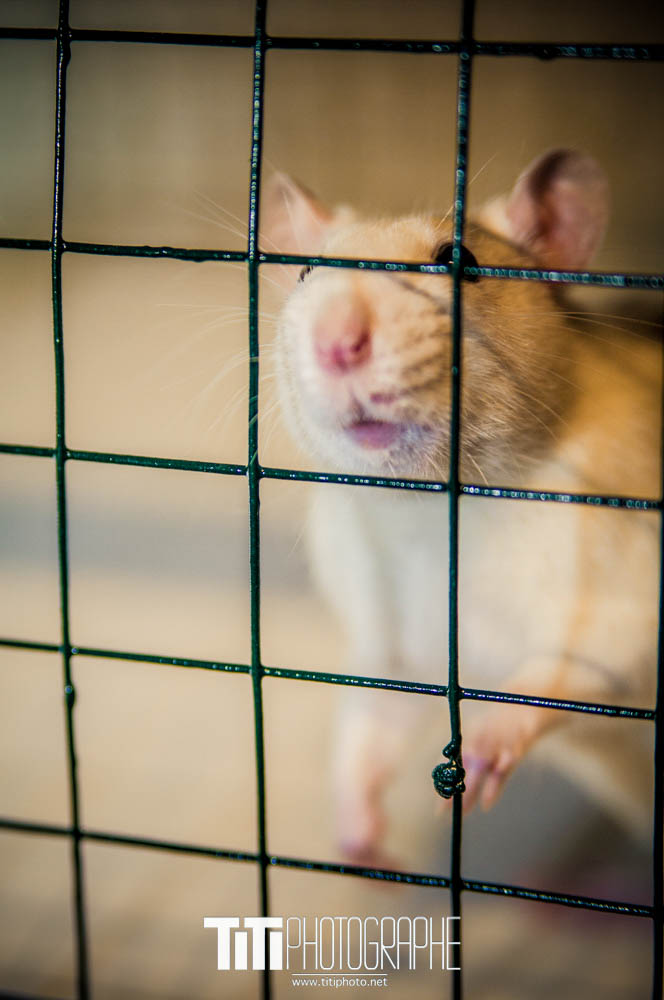 173/365 – Regarde moi