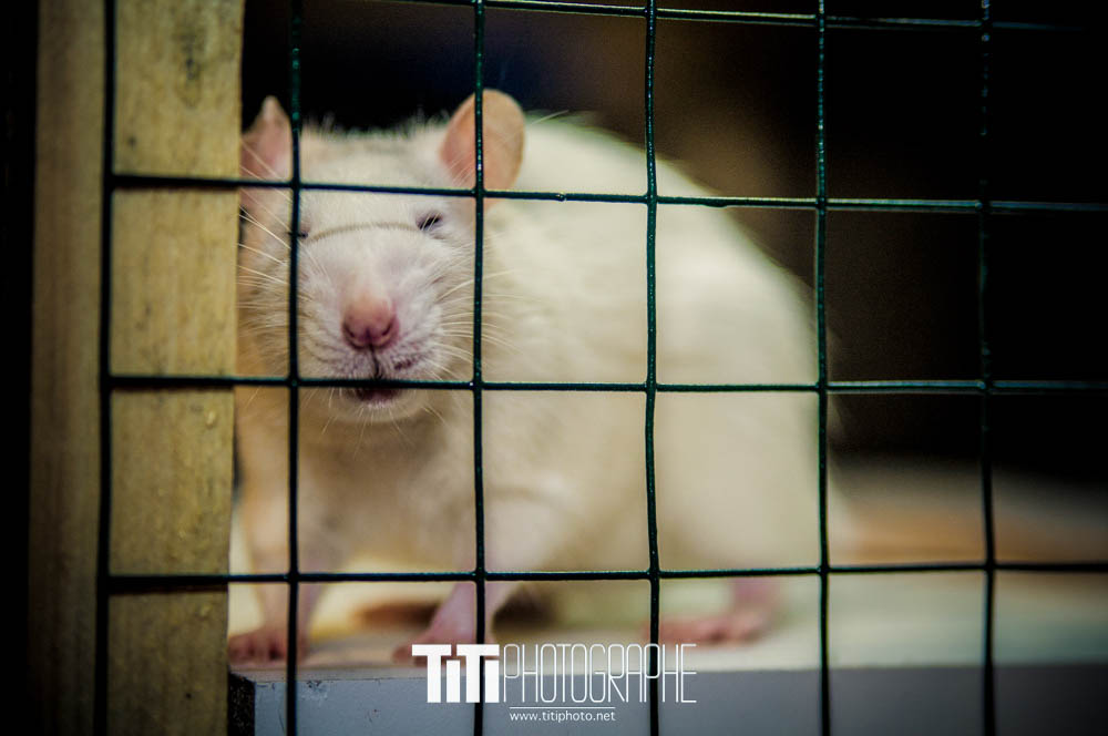 168/365 – Allez quoi !