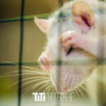 172/365 – Toilette