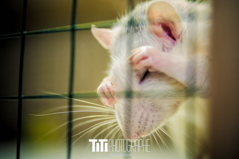 172/365 – Toilette