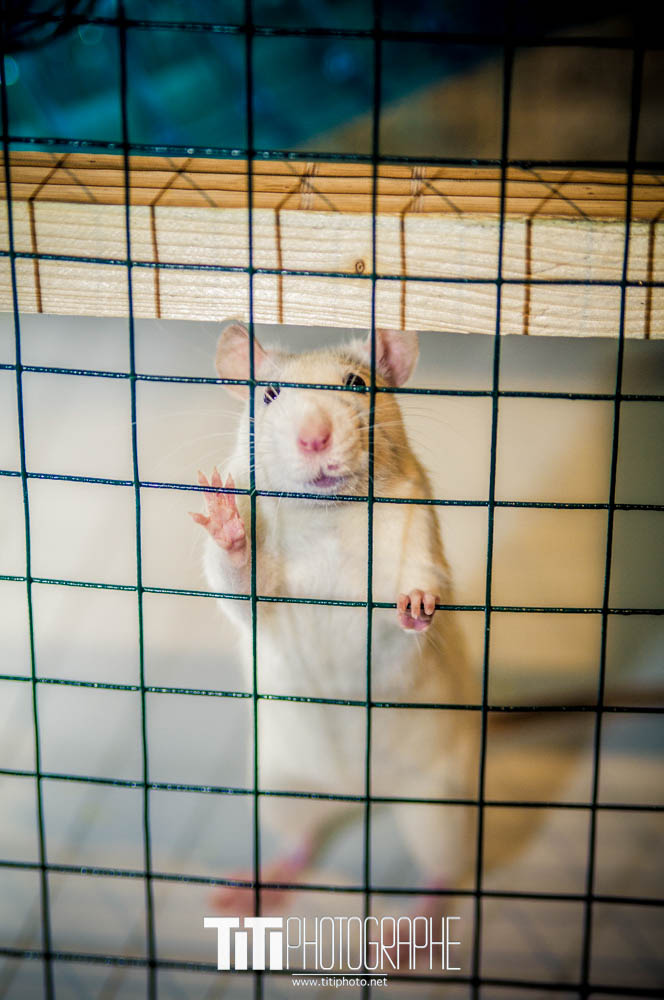 166/365 – S’il vous plait