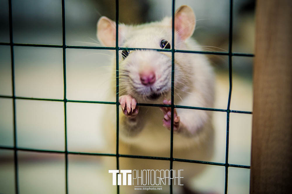 167/365 – Délivrez moi