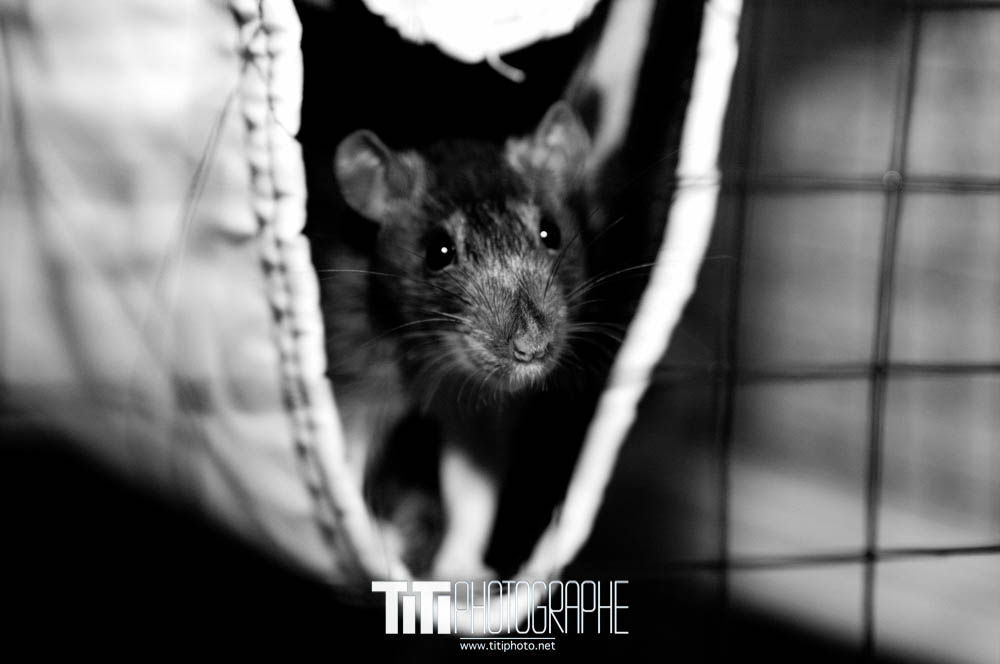 212/365 – Je suis là