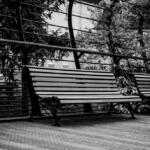 189/365 – Banc