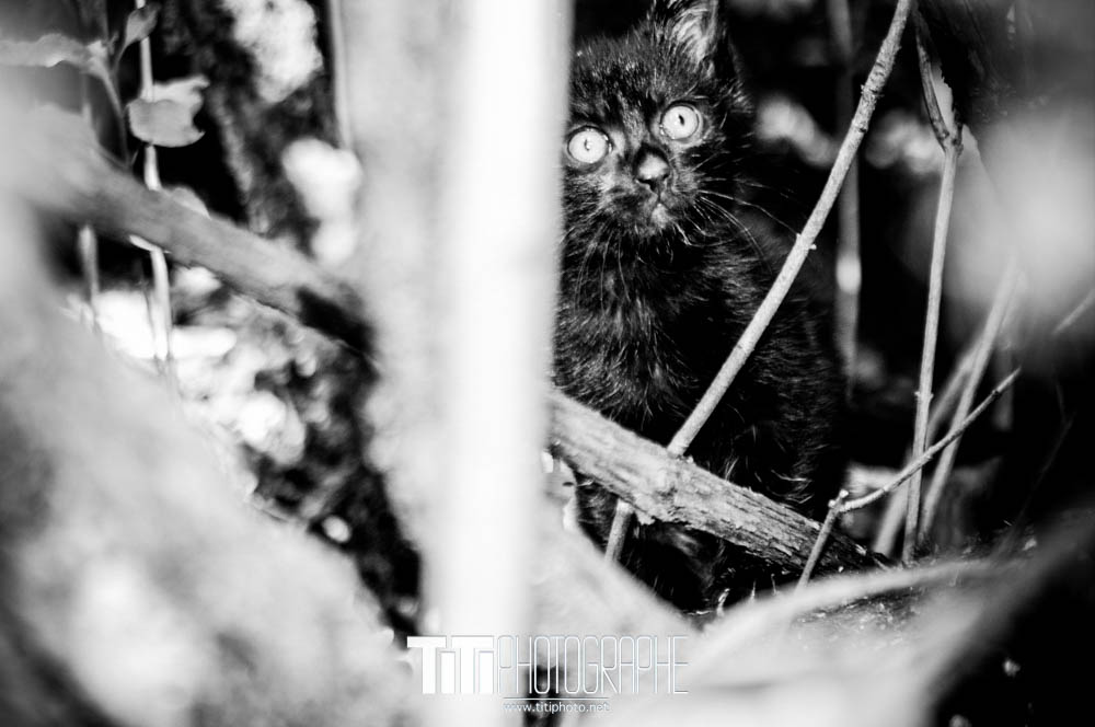 188/365 – Je me cache