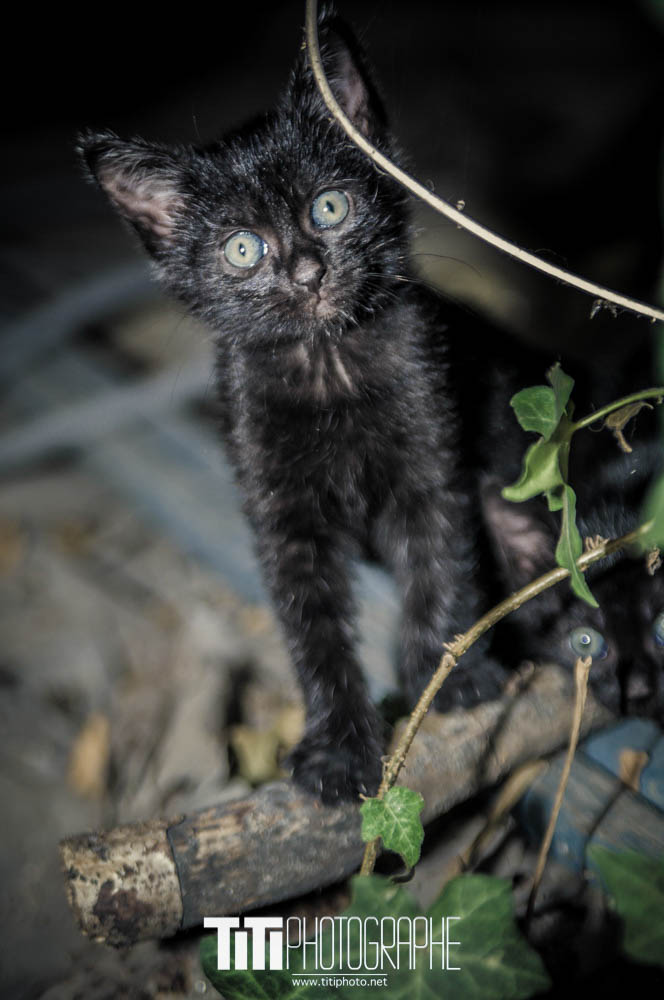 195/365 – Juste un dernier