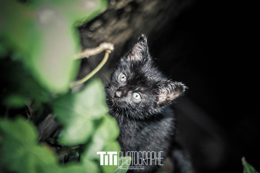 193/365 – On va en finir…