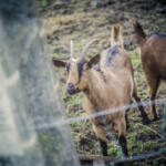 202/365 – Beh