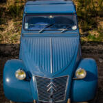 251/365 – Blue Jo