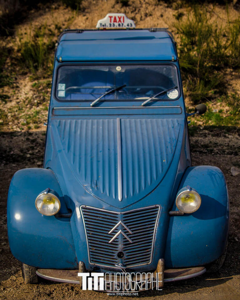 251/365 – Blue Jo