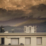 271/365 – Mouton