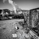 263/365 – Enfer ou paradis
