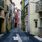 262/365 – Dans ma rue