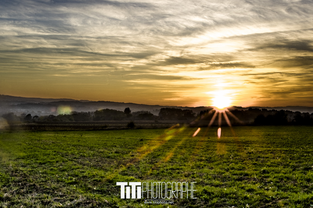 261/365 – Un rayon de soleil