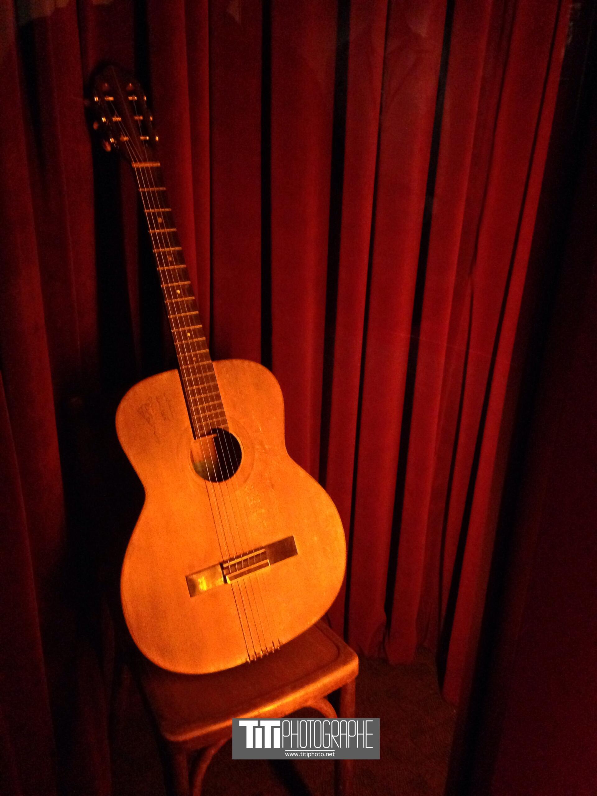 253/365 – gare au gorille