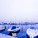 255/365 – Blue