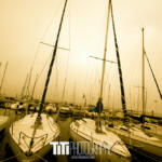 256/365 – Yellow