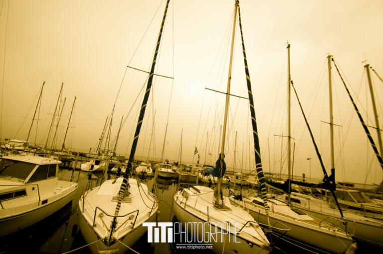 256/365 – Yellow