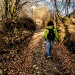 301/365 – Chemins basques
