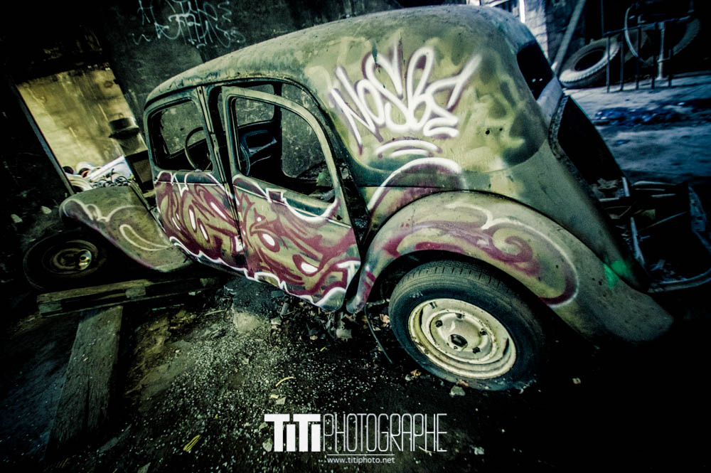 296/365 – Bitterweet