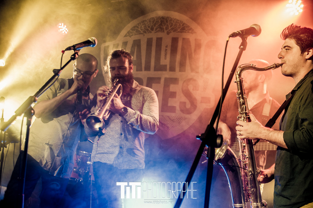 20151121-WailingTrees-LePrunierSauvage-4185.jpg