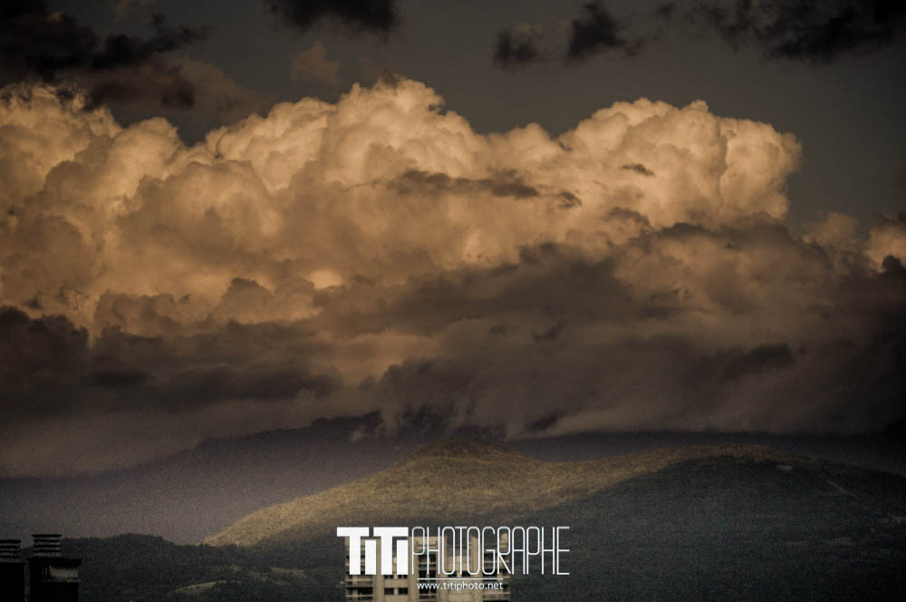 331/365  – Moutons