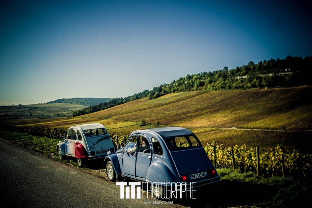 320/365 – Vignoble