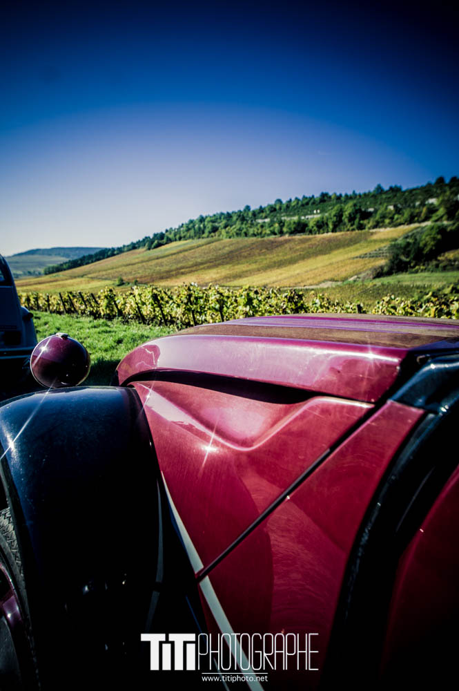 313/365 – Dans les vignes