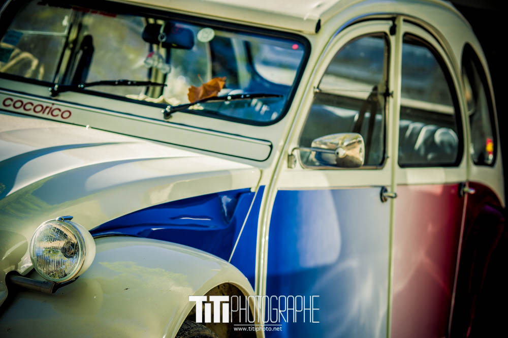 305/365 – Cocorico