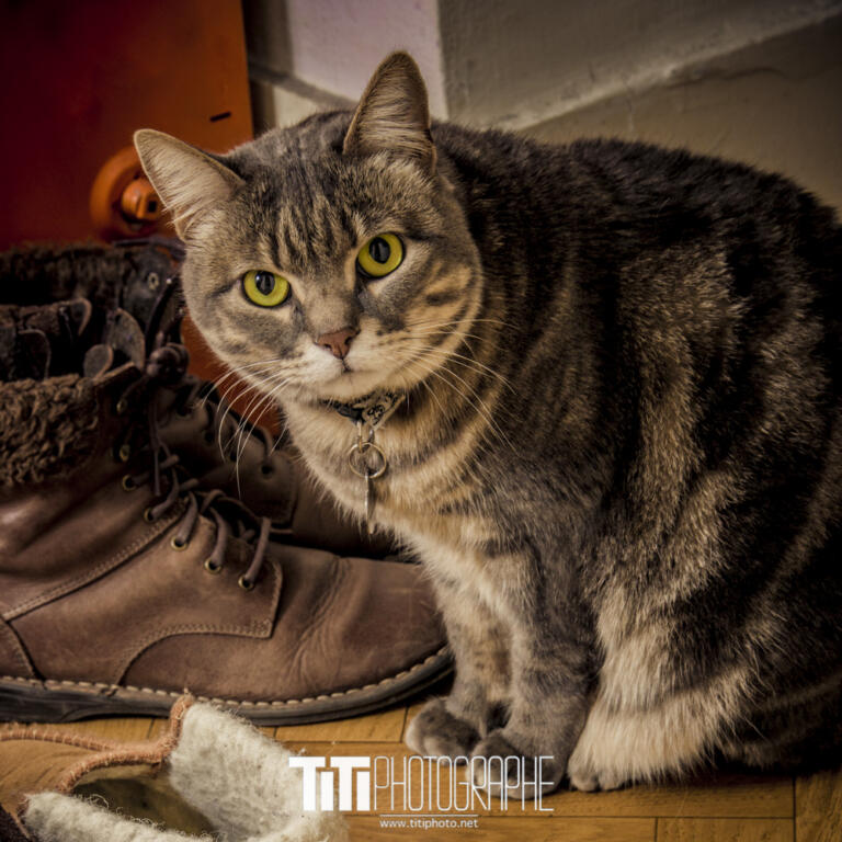 337/365 – Zola
