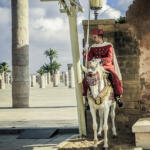 333/365 – Garde royale