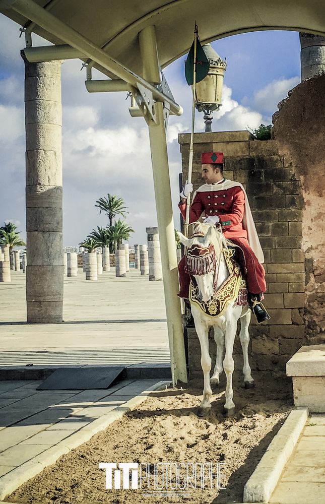 333/365 – Garde royale