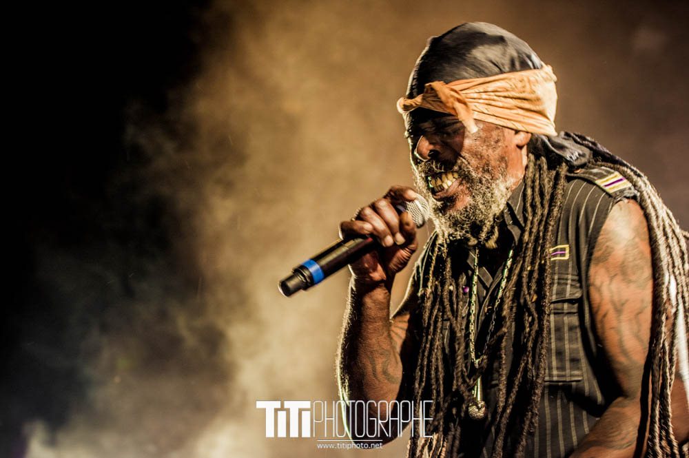 Asian Dub Foundation-Grenoble-2016-Sylvain SABARD