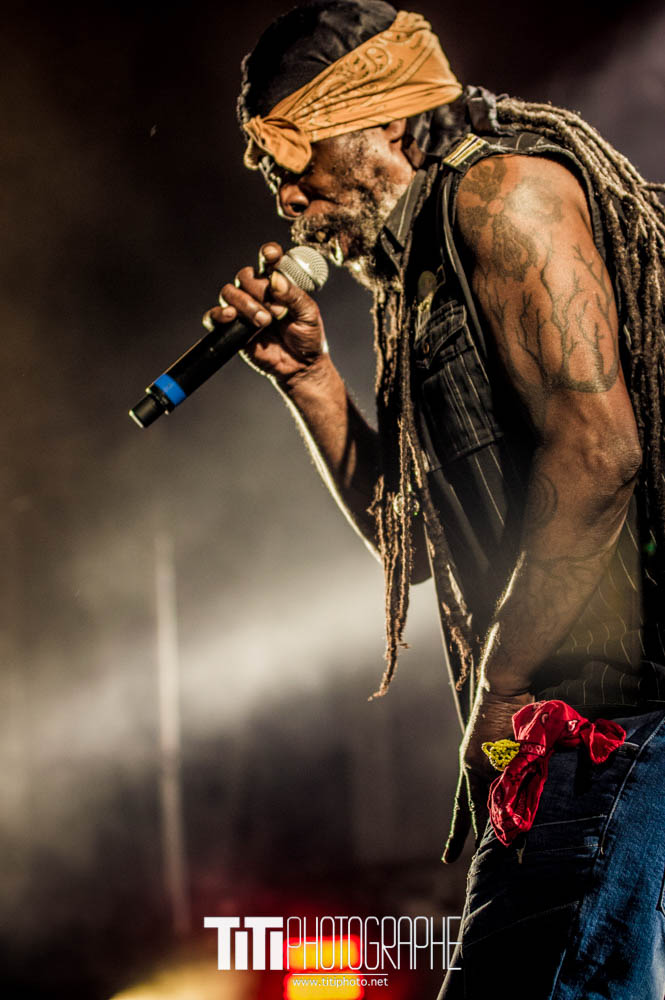 Asian Dub Foundation-Grenoble-2016-Sylvain SABARD
